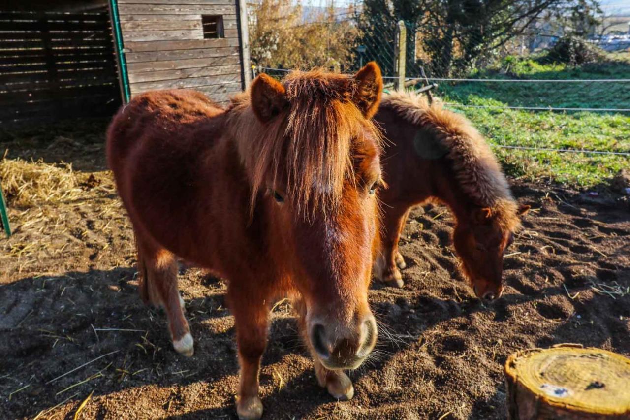 Agriturismo La Melazza Roma Esterno foto